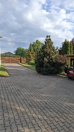 Pronájem bytu 3+kk v osobním vlastnictví 110 m², Sezemice