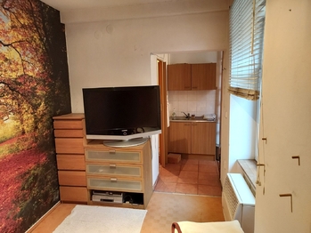 Pokoj - Prodej bytu 1+1 v osobním vlastnictví 19 m², Prostějov 