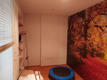 Pokoj - Prodej bytu 1+1 v osobním vlastnictví 19 m², Prostějov