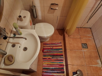 Koupelna - Prodej bytu 1+1 v osobním vlastnictví 19 m², Prostějov