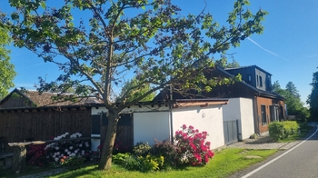 Prodej restaurace 382 m², Dolany
