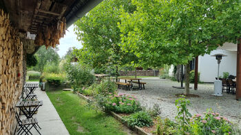 Prodej restaurace 382 m², Dolany