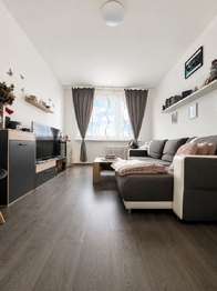 Prodej bytu 2+kk v osobním vlastnictví 40 m², Bílina