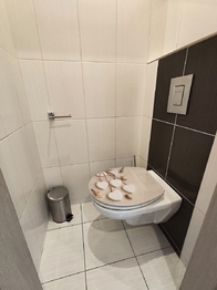 Pronájem bytu 3+1 v osobním vlastnictví 66 m², České Budějovice