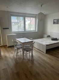 Pronájem bytu 1+kk v osobním vlastnictví 39 m², Zásada