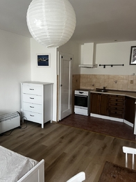 Pronájem bytu 1+kk v osobním vlastnictví 39 m², Zásada