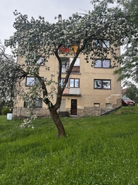 Pronájem bytu 1+kk v osobním vlastnictví 39 m², Zásada