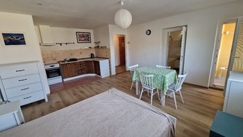 Pronájem bytu 1+kk v osobním vlastnictví 39 m², Zásada