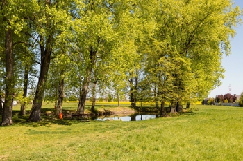 Nedvězí u Olomouce - Prodej pozemku 3553 m², Olomouc
