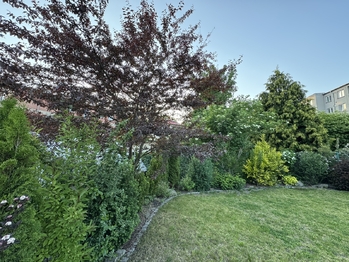 Zadní část zahrady - Prodej domu 139 m², Plzeň
