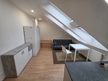 Pronájem bytu 1+kk v osobním vlastnictví 30 m², Praha 6 - Dejvice
