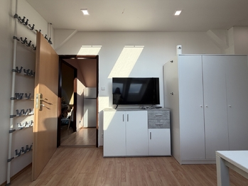 Pronájem bytu 1+kk v osobním vlastnictví 30 m², Praha 6 - Dejvice