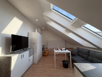 Pronájem bytu 1+kk v osobním vlastnictví 30 m², Praha 6 - Dejvice