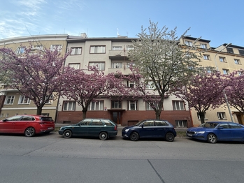 Pronájem bytu 1+kk v osobním vlastnictví 30 m², Praha 6 - Dejvice