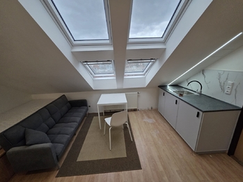 Pronájem bytu 2+kk v osobním vlastnictví 43 m², Praha 6 - Dejvice