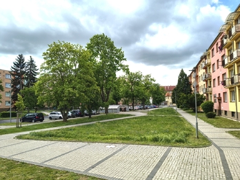 Pronájem bytu 1+1 v osobním vlastnictví 40 m², Žatec