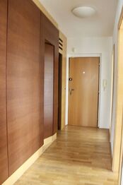 Pronájem bytu 2+kk v osobním vlastnictví 106 m², Vestec