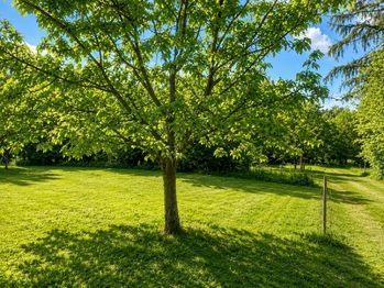 Prodej chaty / chalupy 52 m², Roštín