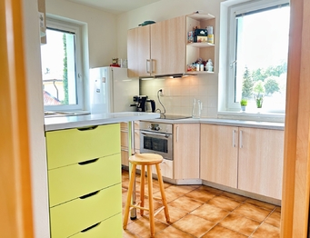 Spotřebiče, základní nádobí - vše je Vám k dispozici, jen bydlet! - Pronájem bytu 2+1 v osobním vlastnictví 52 m², Praha 9 - Koloděje