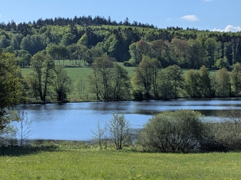 Prodej chaty / chalupy 50 m², Růžená