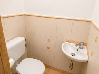 Pronájem bytu 2+kk v osobním vlastnictví 44 m², Lipník nad Bečvou
