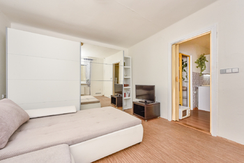 Prodej bytu 1+1 v osobním vlastnictví 29 m², Plzeň