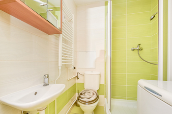 Prodej bytu 1+1 v osobním vlastnictví 29 m², Plzeň