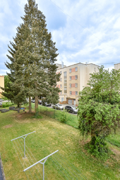 Prodej bytu 1+1 v osobním vlastnictví 29 m², Plzeň