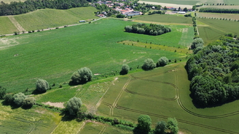 Prodej pozemku 9186 m², Vinaře