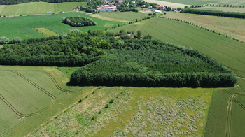 Prodej pozemku 9186 m², Vinaře