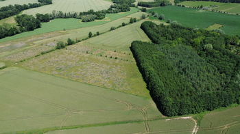 Prodej pozemku 9186 m², Vinaře
