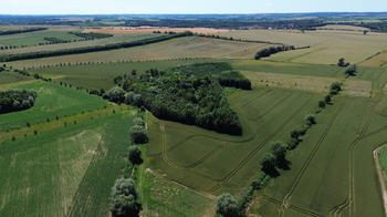 Prodej pozemku 9186 m², Vinaře