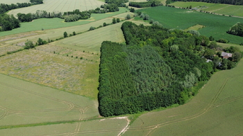 Prodej pozemku 9186 m², Vinaře