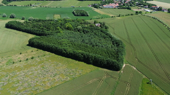 Dronový snímek - Prodej pozemku 9186 m², Vinaře