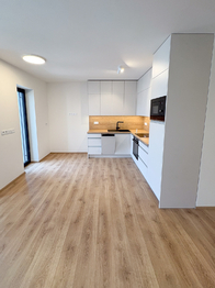 Pronájem bytu 1+kk v osobním vlastnictví 40 m², Zlín