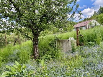Prodej domu 150 m², Střílky