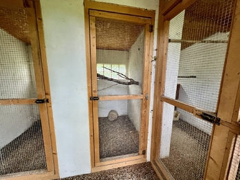 Prodej domu 150 m², Střílky
