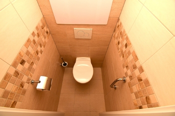 WC - Pronájem bytu 3+1 v osobním vlastnictví 67 m², Písek