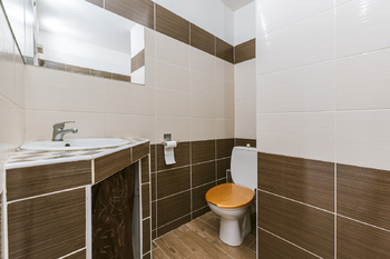 KOUPELNA S TOALETOU - Prodej bytu 1+1 v družstevním vlastnictví 36 m², Bystřany