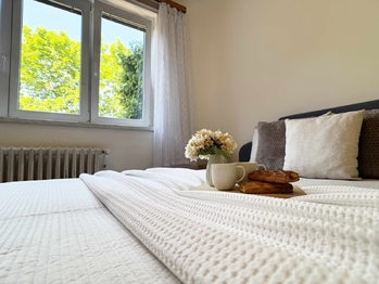 Prodej bytu 3+1 v osobním vlastnictví 60 m², Praha 10 - Vinohrady