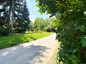 Prodej bytu 3+1 v osobním vlastnictví 60 m², Praha 10 - Vinohrady