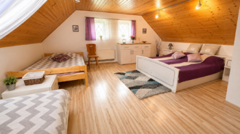 Prodej ubytovacího zařízení 474 m², Litohošť