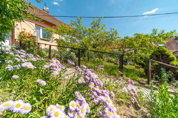 Prodej domu 82 m², Brno