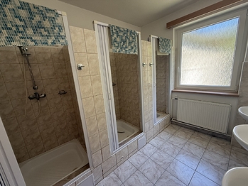 Prodej ubytovacího zařízení 600 m², Horní Město