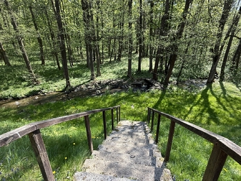 Prodej ubytovacího zařízení 525 m², Horní Město