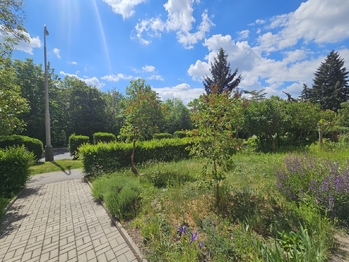 Pronájem bytu 3+1 v osobním vlastnictví 69 m², Praha 10 - Záběhlice
