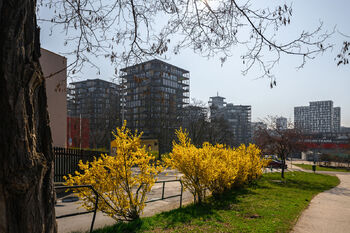 Pronájem bytu 5+kk v osobním vlastnictví 254 m², Praha 3 - Žižkov