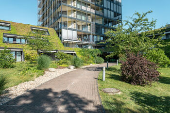 Pronájem bytu 5+kk v osobním vlastnictví 254 m², Praha 3 - Žižkov