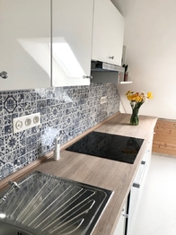 kuchyně byt podkroví - Prodej nájemního domu 485 m², Kojetín