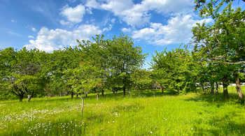 Pozemek - Prodej pozemku 4194 m², Třebonín